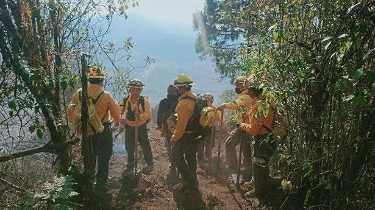 ac1ec9b3-d9f7-43ba-9f1c-ce1d69e67504