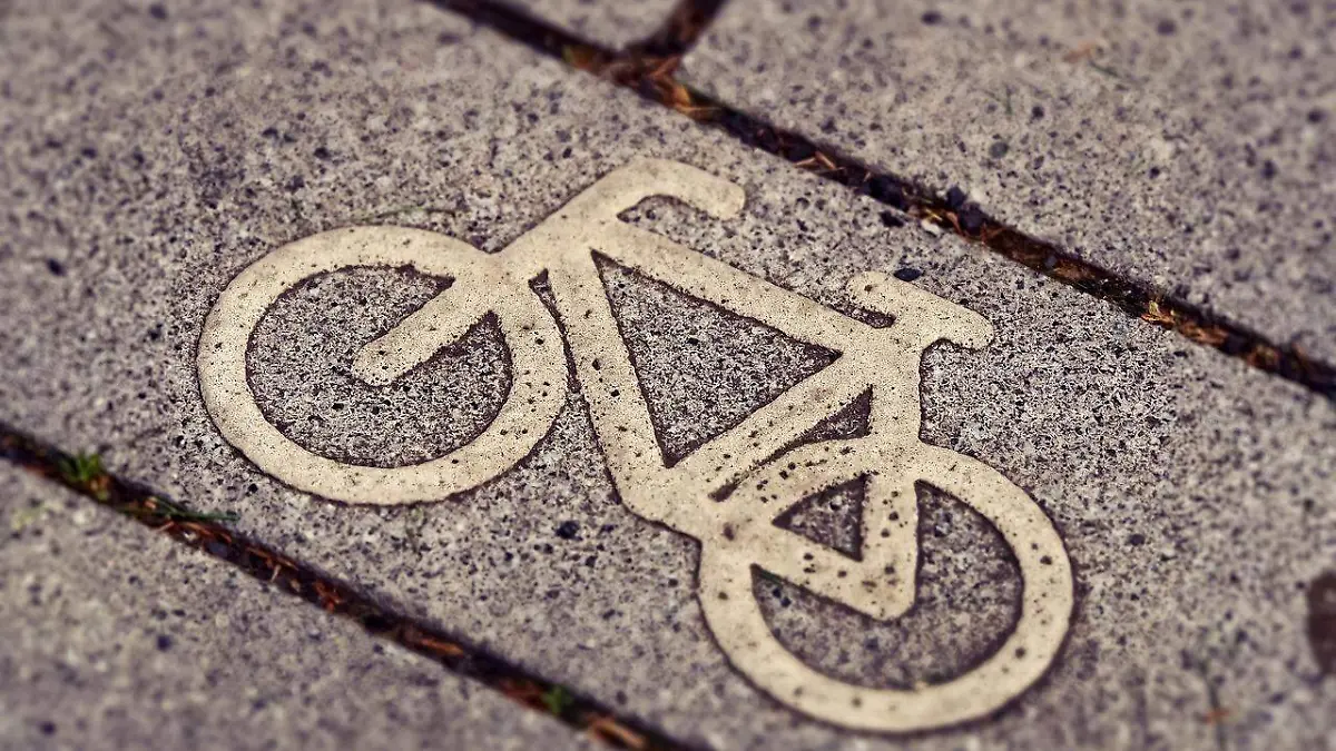 bicycle-path-g105f2bffb_1280