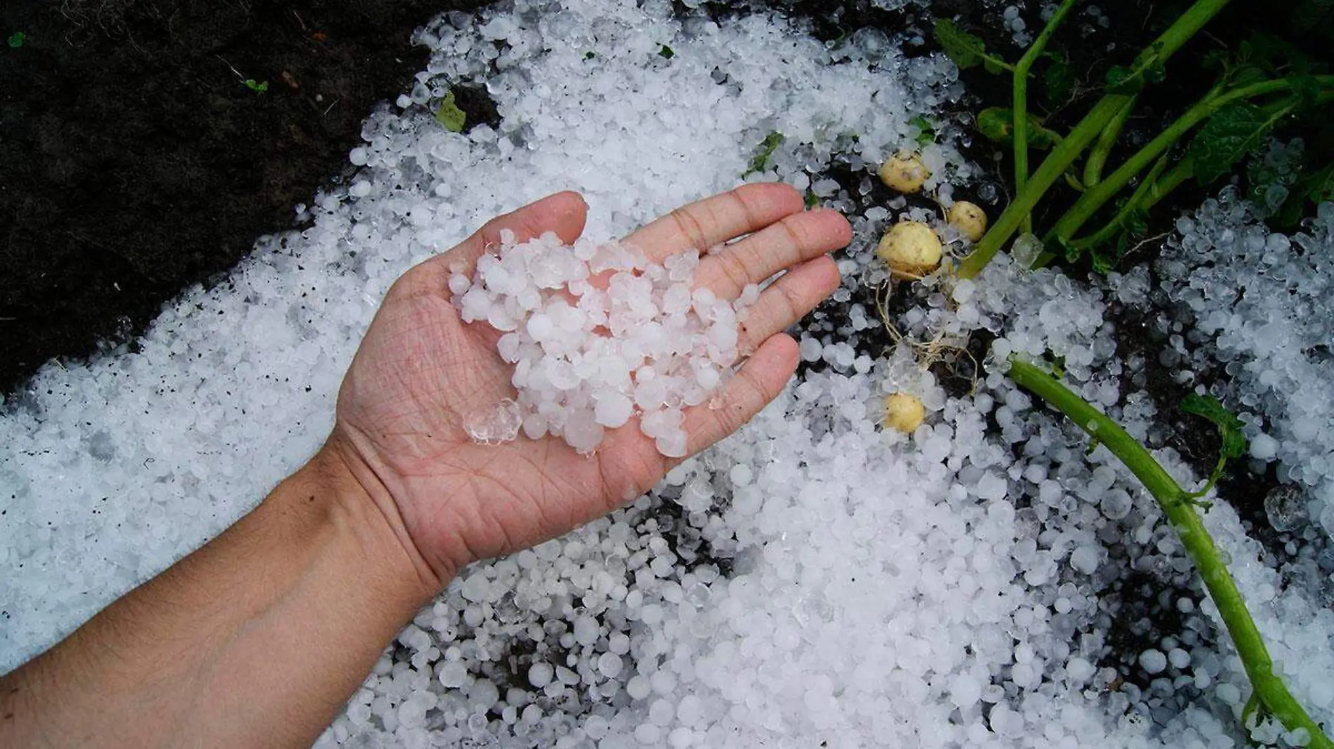 Preven-caida-de-granizo-en-algunas-ciudades-de-Veracruz