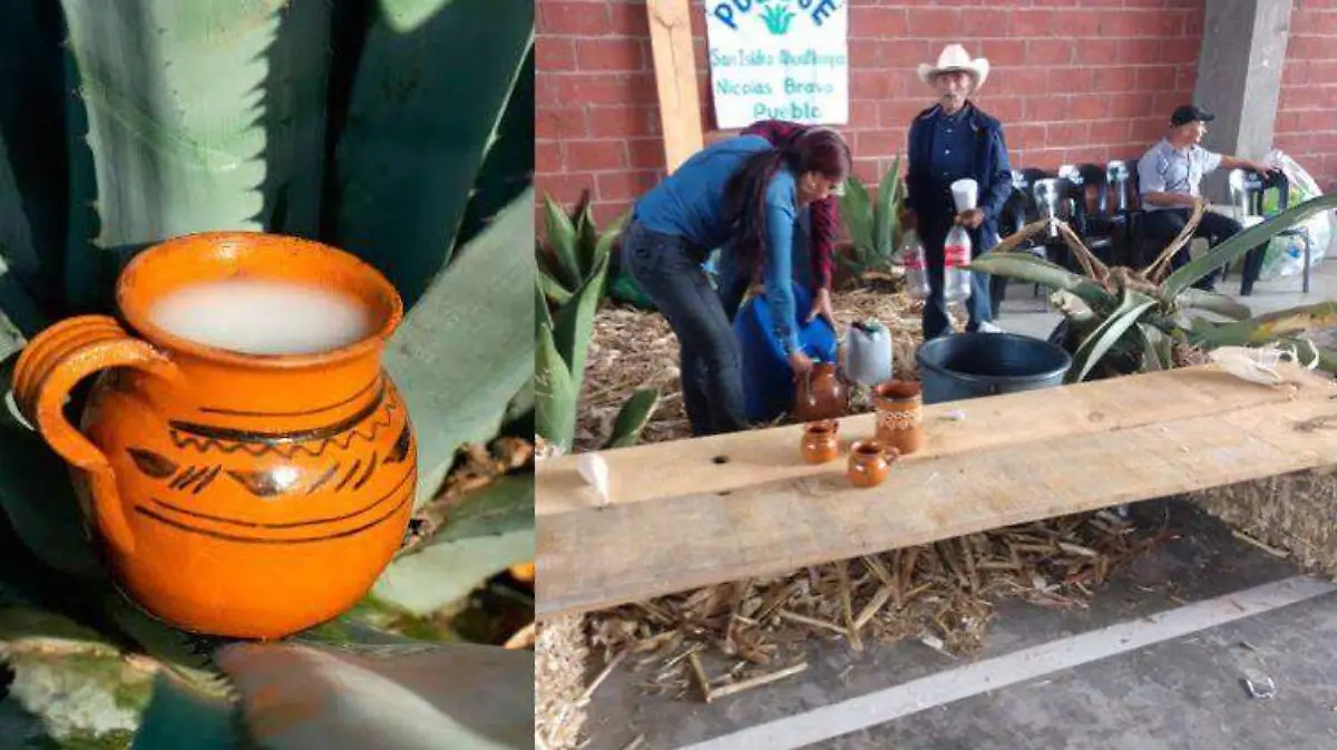 Festival de pulque