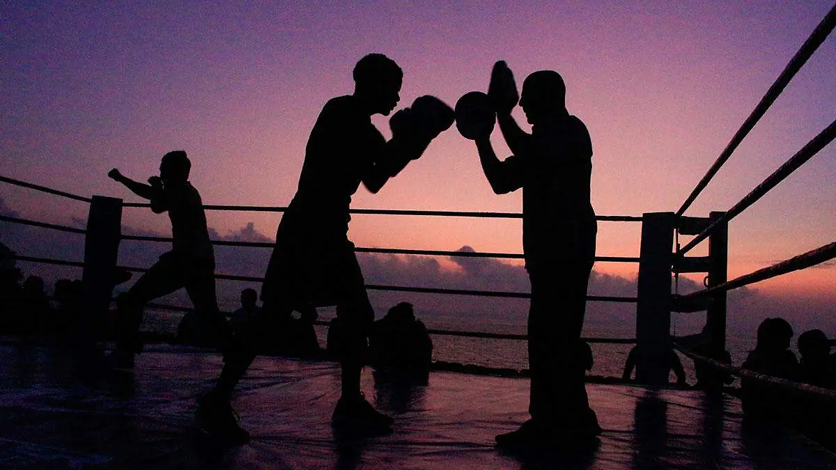 903382_Box-Entrenamiento-Mar-5_web