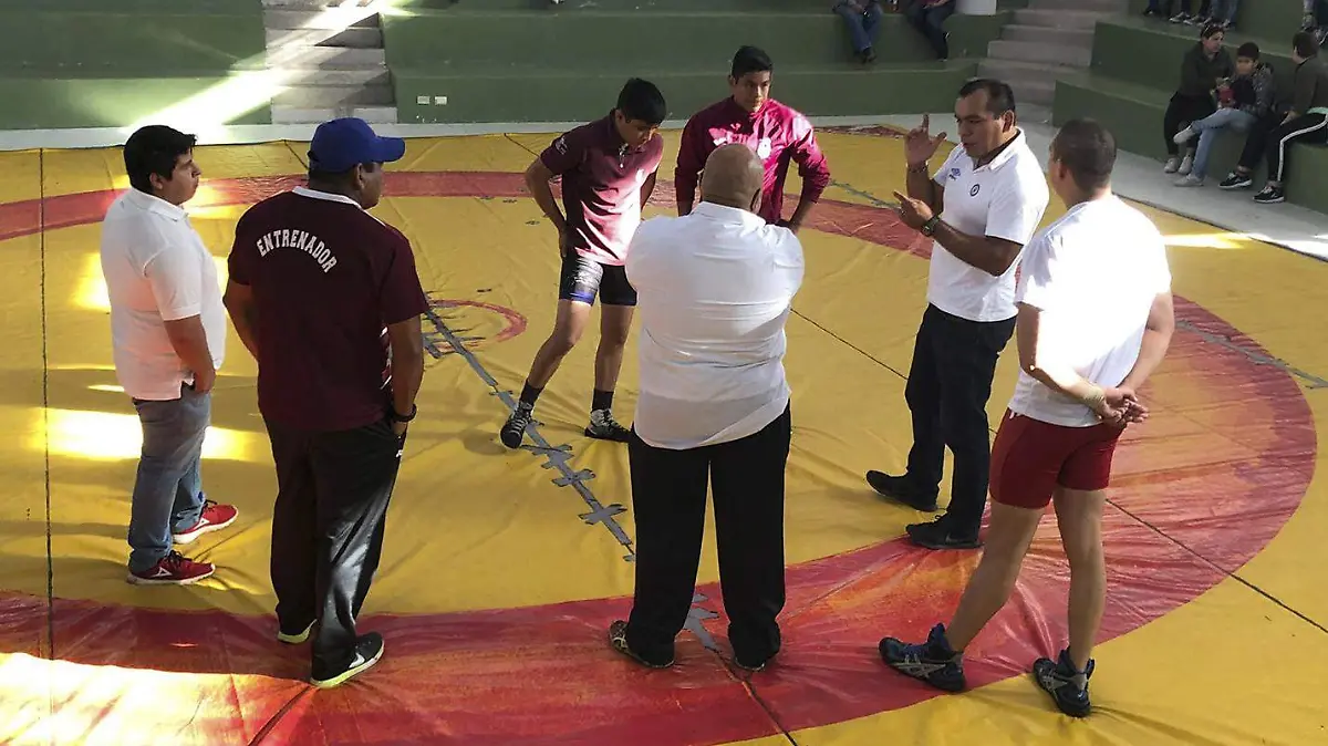 entrenadores