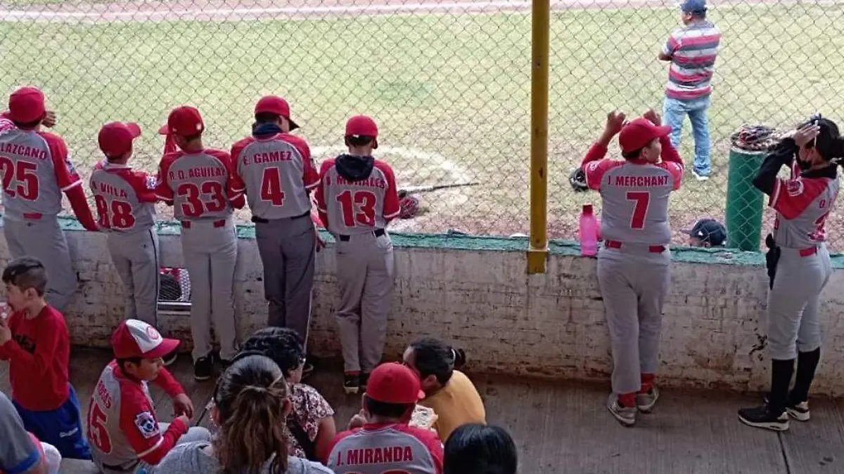 WhatsApp Image 2023-02-03 at 12.37.30