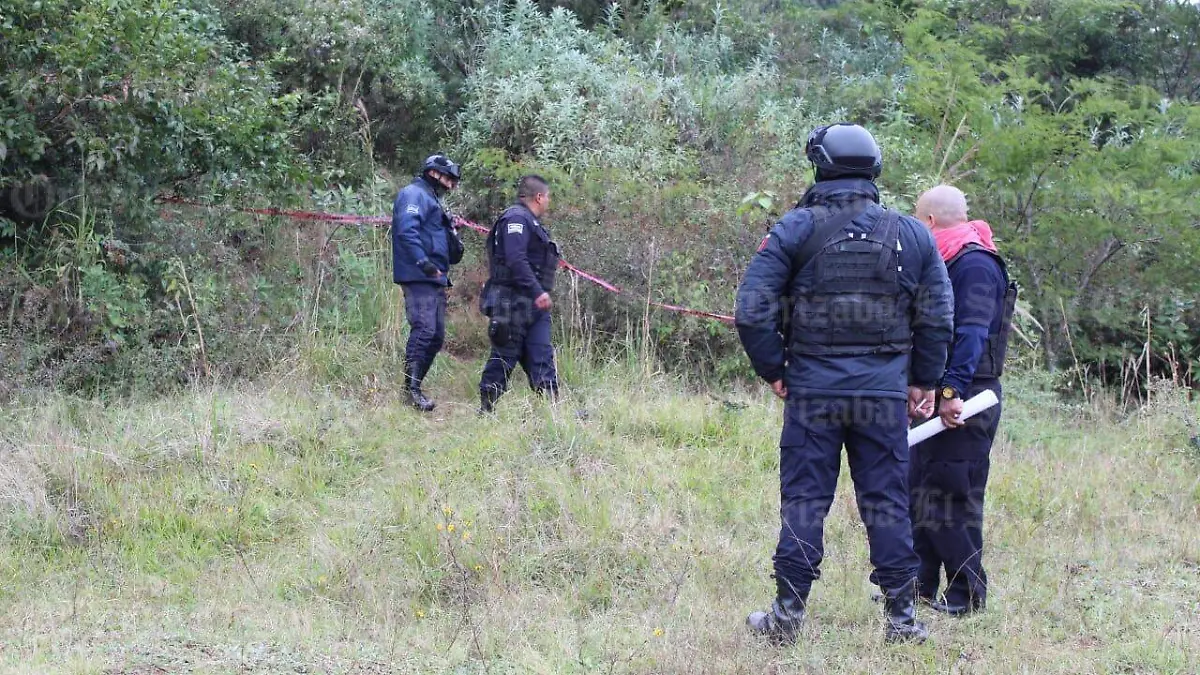 391421f3-3e44-460f-b674-bd88d2ad3a34