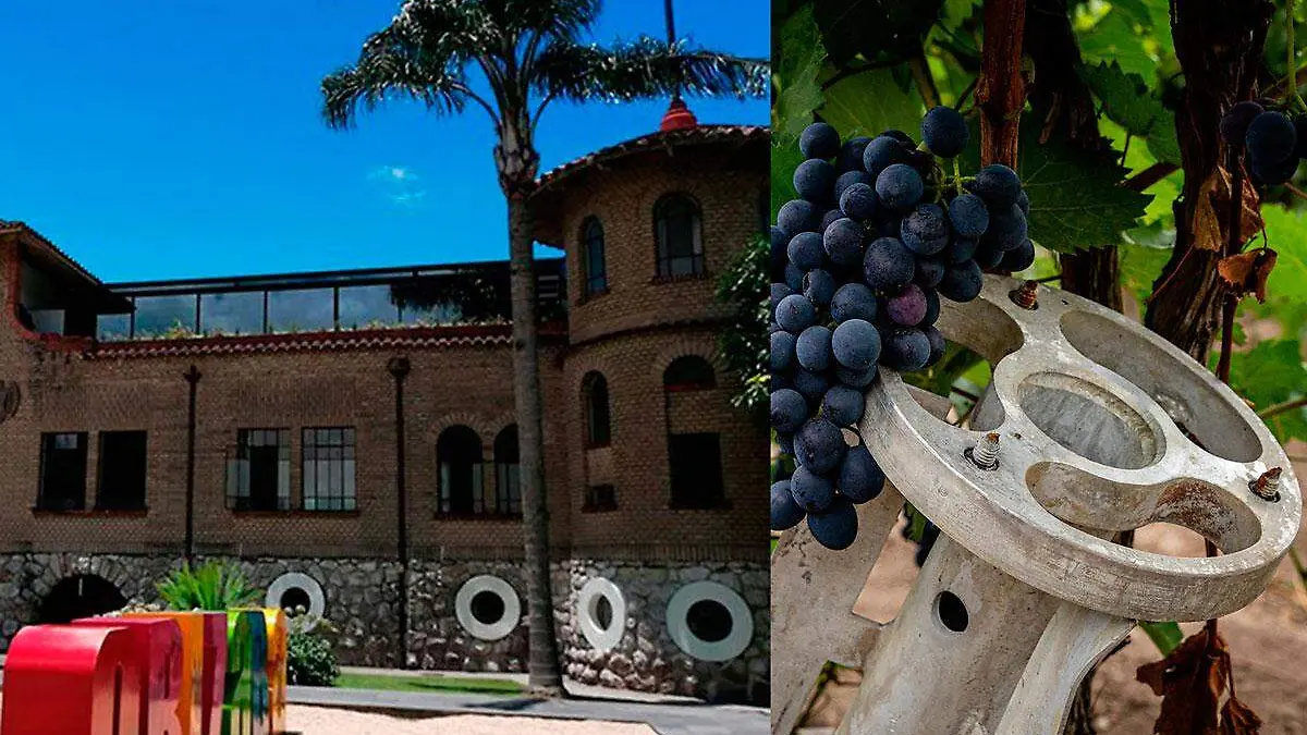 Segundo-Festival-Entre-vinos-y-quesos-de-Orizaba
