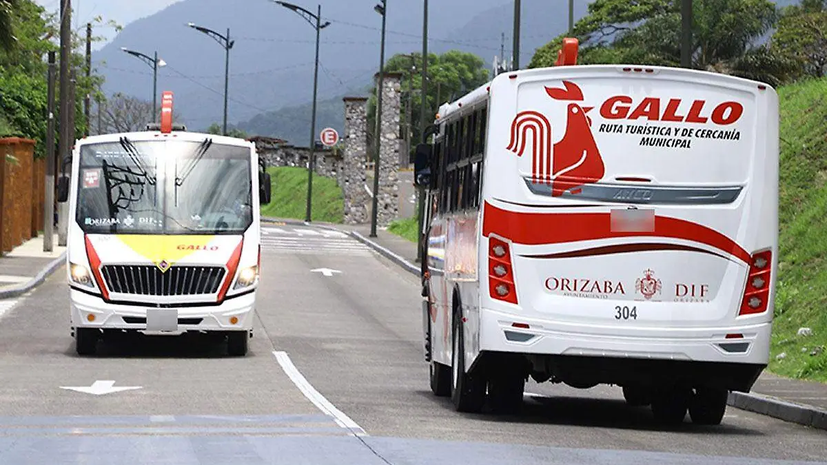 2-Autobuses-Gallo-de-Orizaba