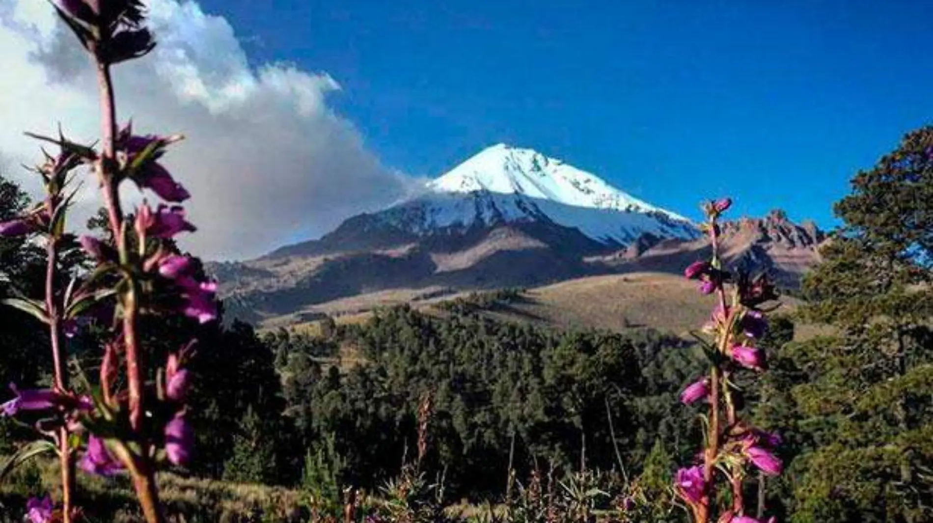 Parque-Nacional-Pico-de-Orizaba