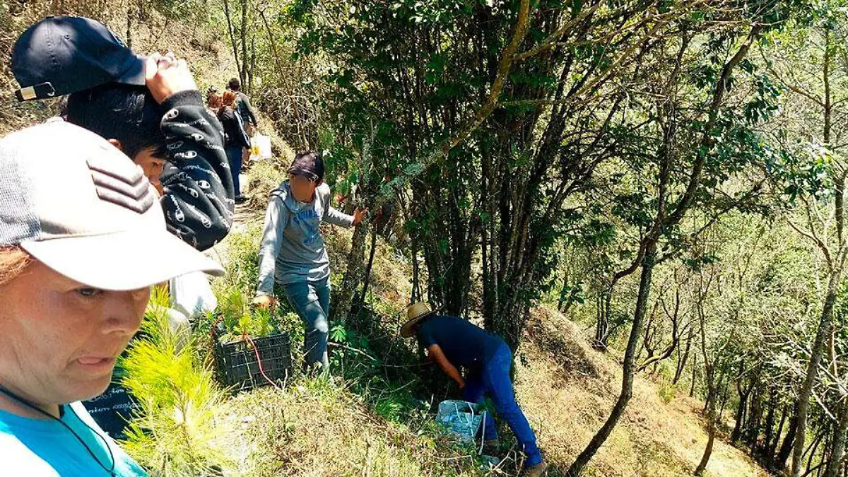 En el lugar conocido como la Quinta, descargaron la planta y cada una de las personas cargó una o dos bolsas con varias plantas