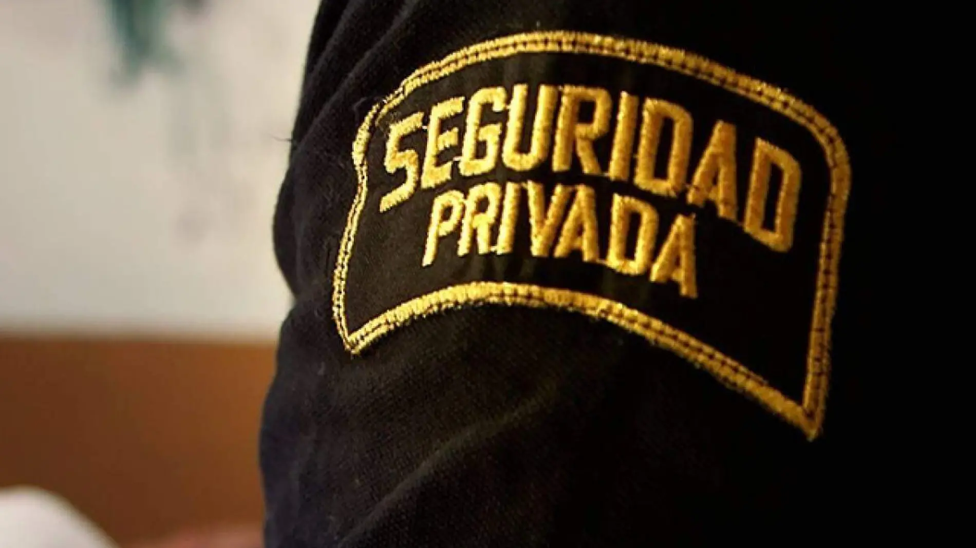 SEGURIDAD-PRIVADA