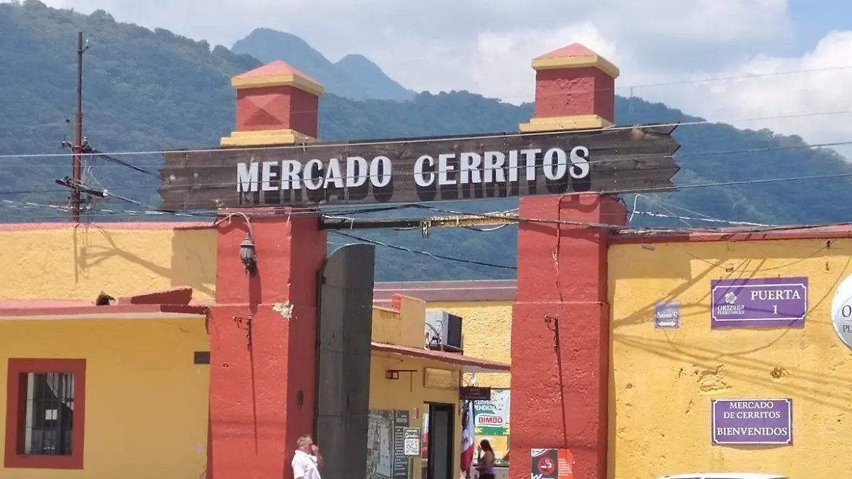 mercado cerritos mayra