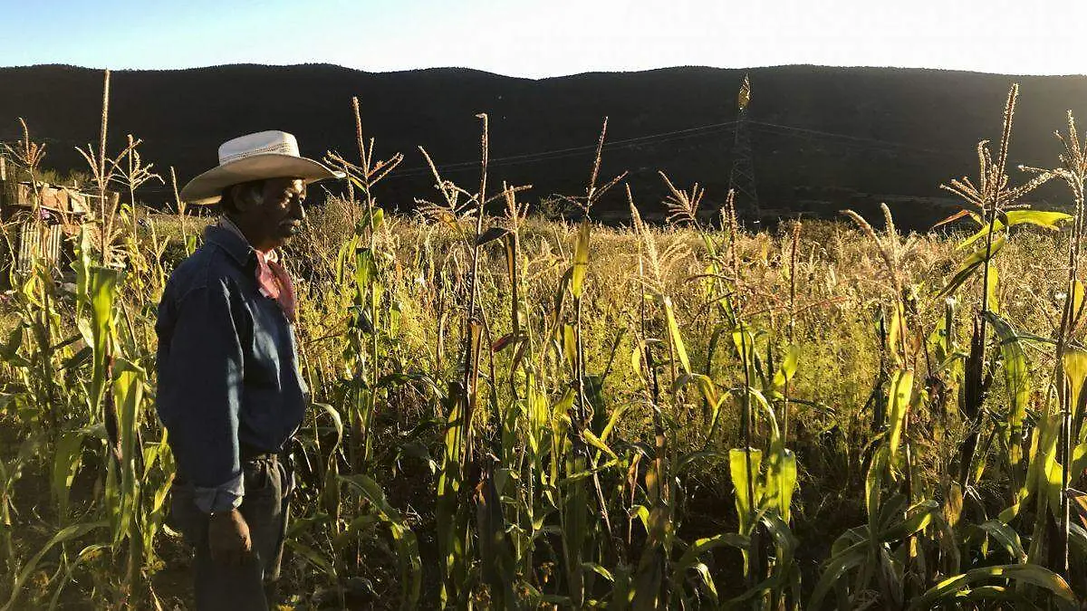 Campesinos amagan con colapsar CDMX con bloqueos