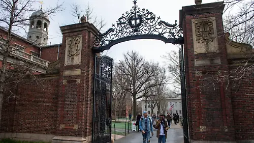Harvard (1)