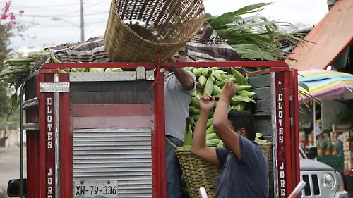 FOSEC-campo-productores-ricardo03