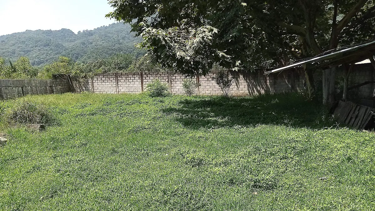 Terreno