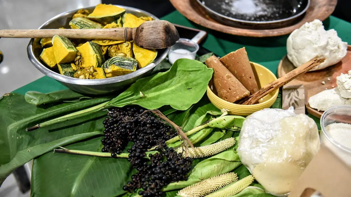 RENE-COCINA TRADICIONAL