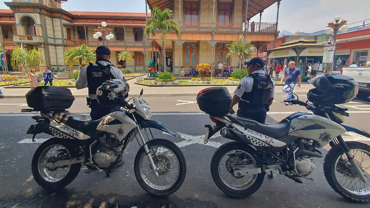 Seguridad-1