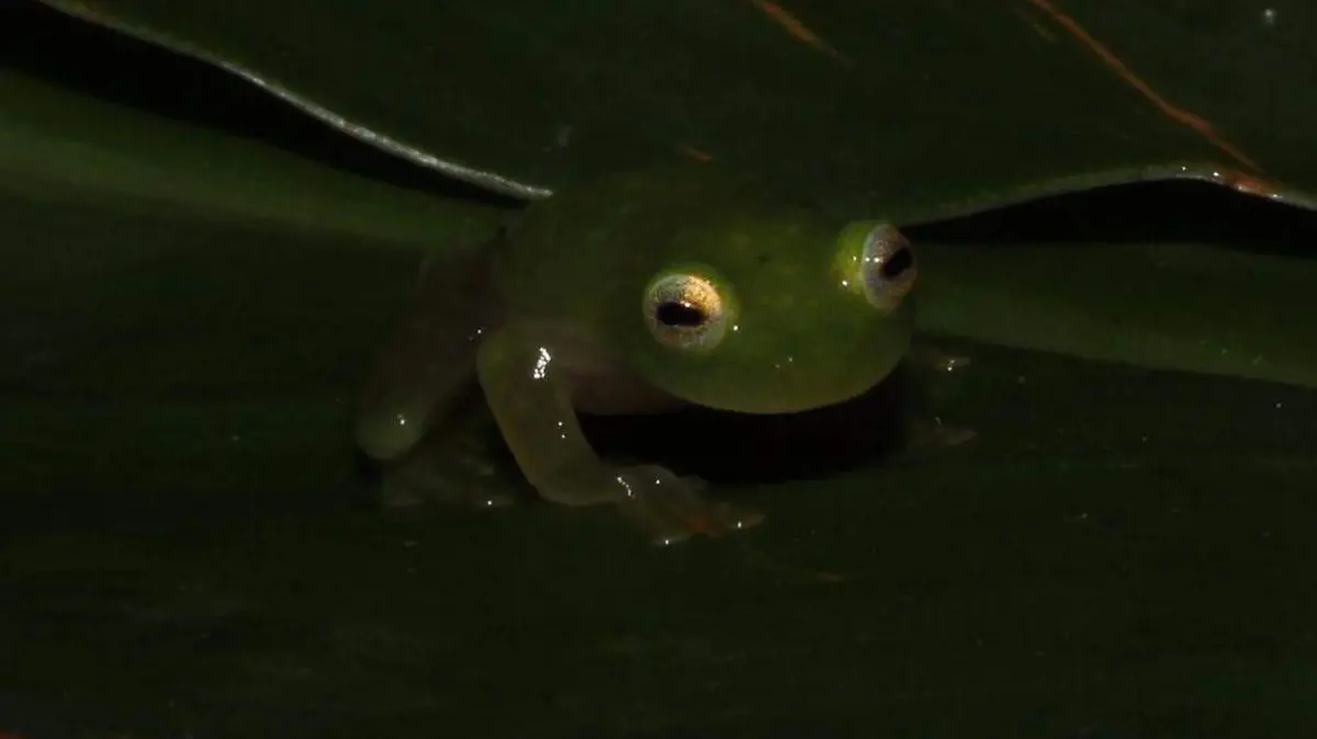 IMG-20250621-WA0126