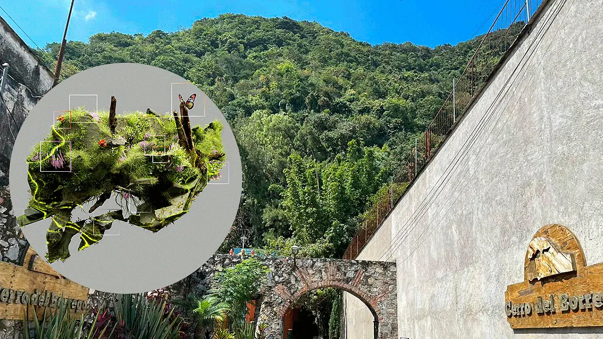 Protección-de-la-biodiversidad-con-IA