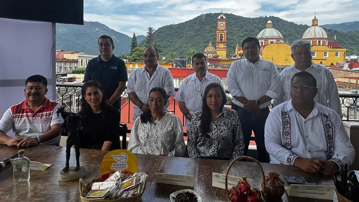 Concejo promotor mole de caderas