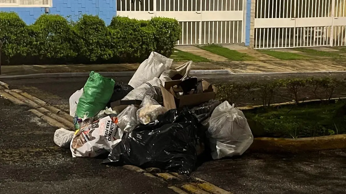 basura-1