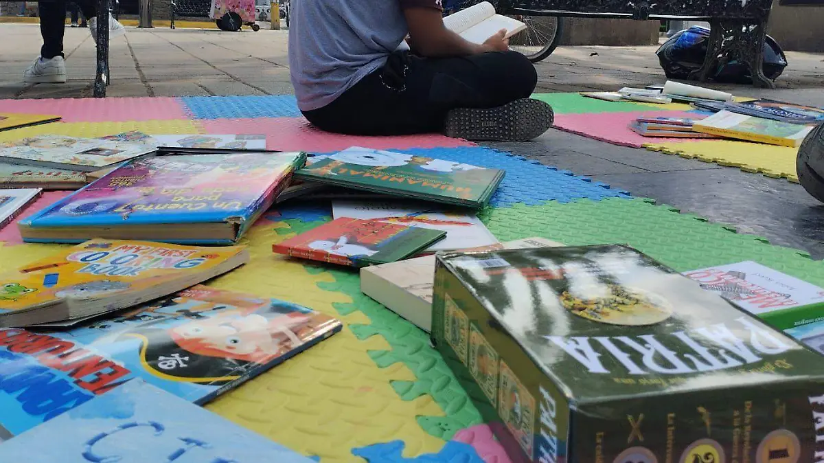 sala de lectura zongolica (9)