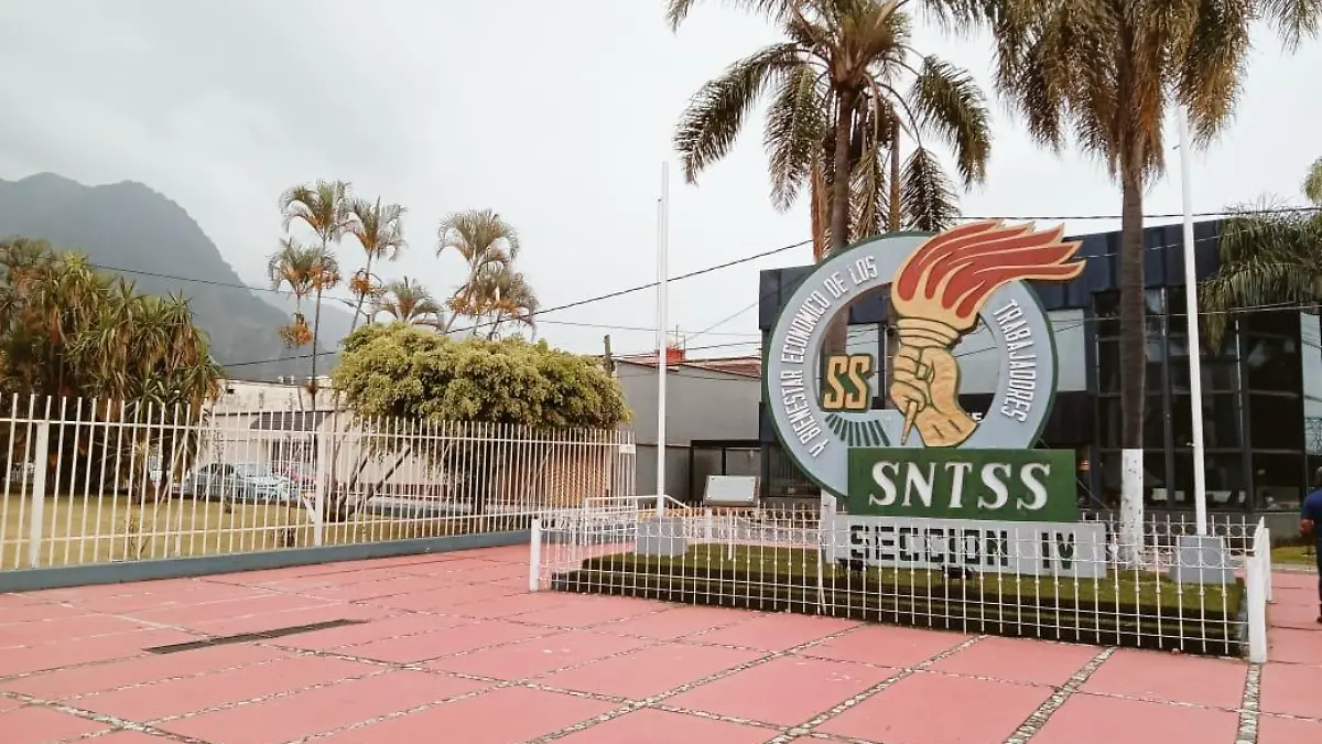 Sección IV SNTSS
