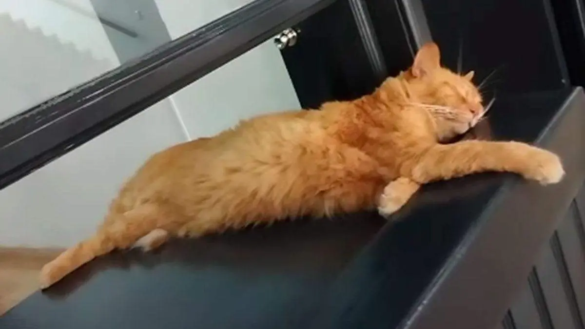 Gata-Sol