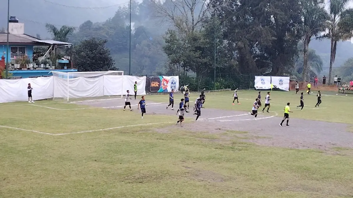 Ganaron