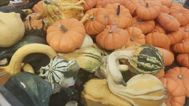 WhatsApp Image 2024-10-08 at 5.52.48 PM