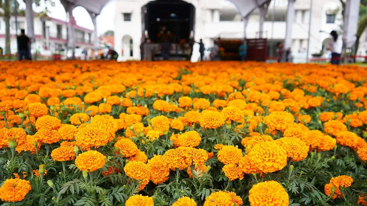 569038540_818880497417812_5689933583347690725_n