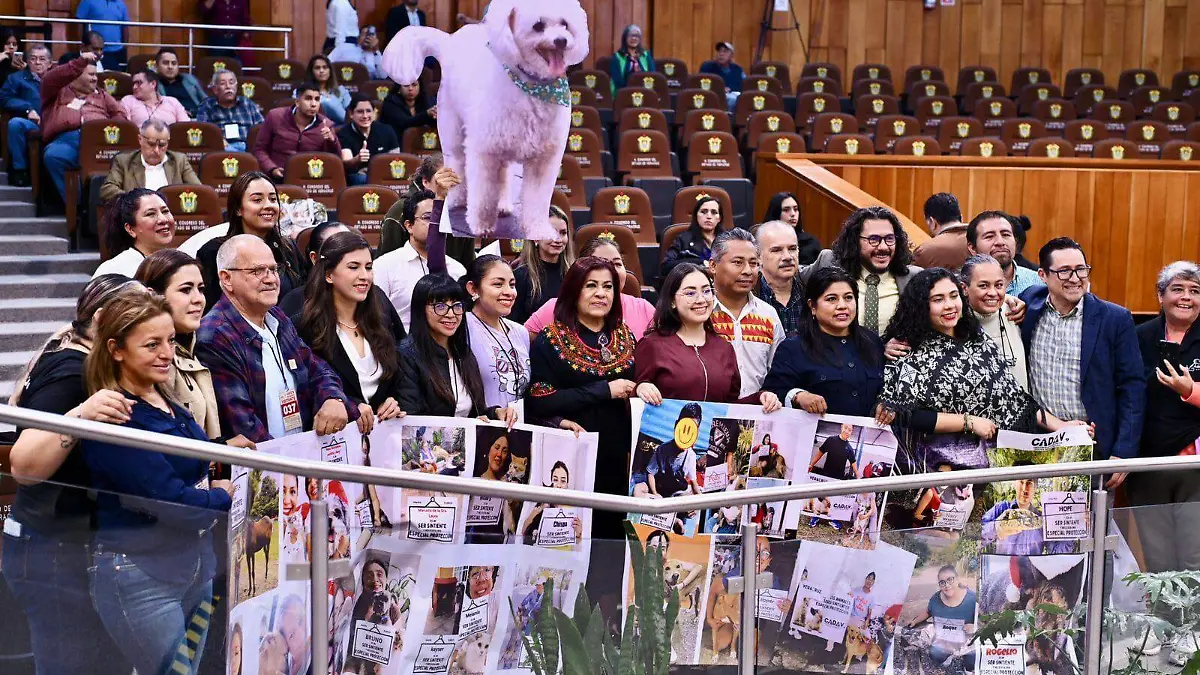 WhatsApp Image 2025-11-14 at 8.57.45 PM