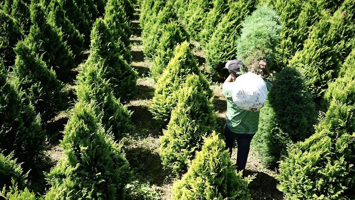 484649396_667296182624854_4094957018344452212_n