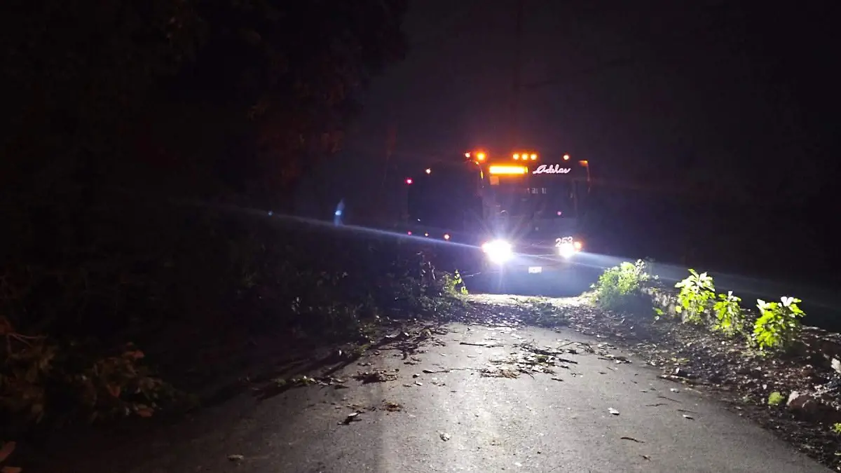 WhatsApp Image 2025-12-01 at 9.33.08 PM