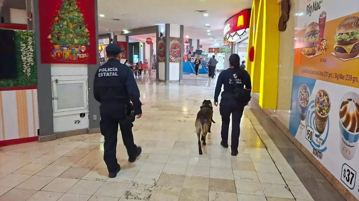 1996ae72-6494-425a-a161-bd3fca354146