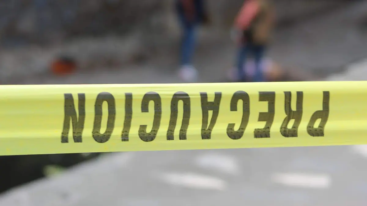 45078c8b-42b9-4064-b8ec-e2412dc45655