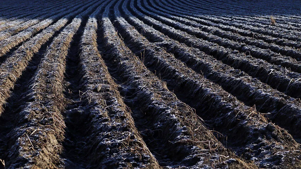 688934_El Capulín_web