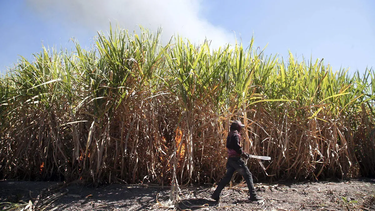 584800_Temporada Zafra_web