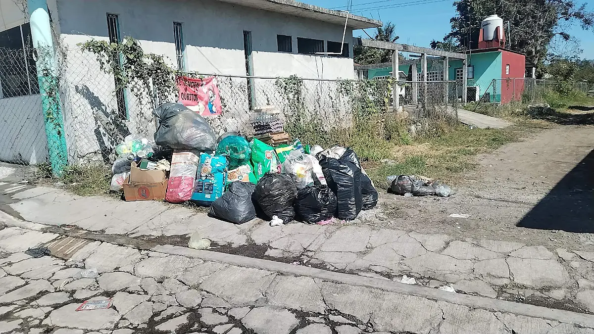 IMG_20260109_121352_1