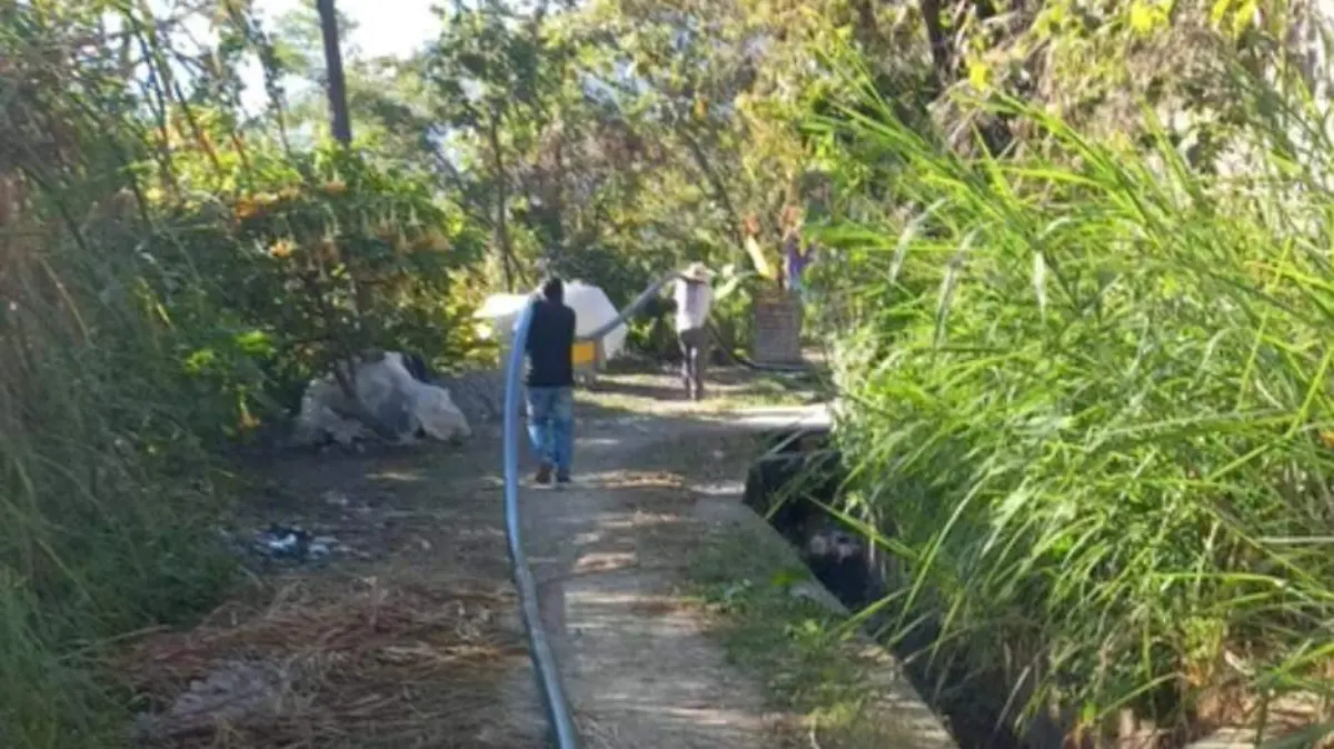 Screenshot_20260111_110909_edit_206456469246710