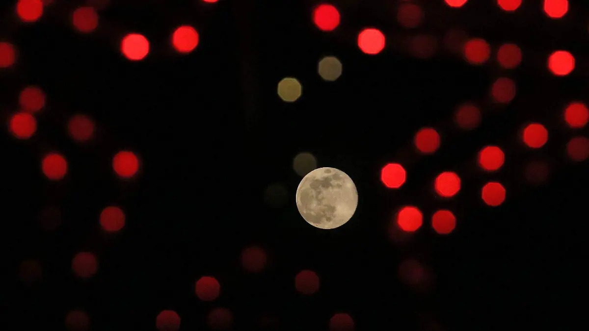 1059713_Luna Fría_web