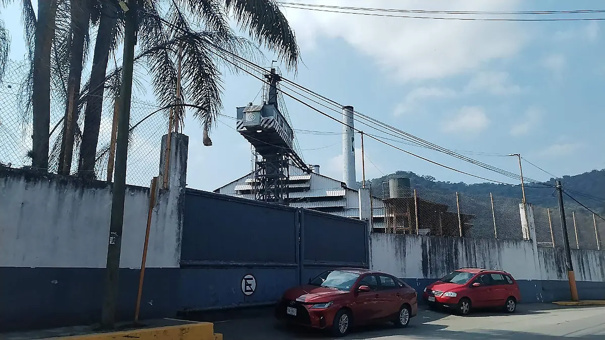 IMG_20260117_114127_1