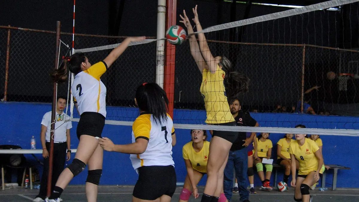 637581_Olimpiada Estatal Voleibol_web