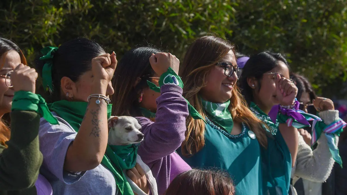 1058237_Marea Verde en Toluca_web