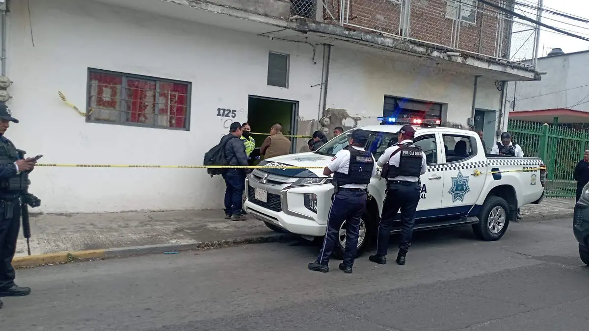 d36e7203-f218-4150-a27b-3c1733921f29