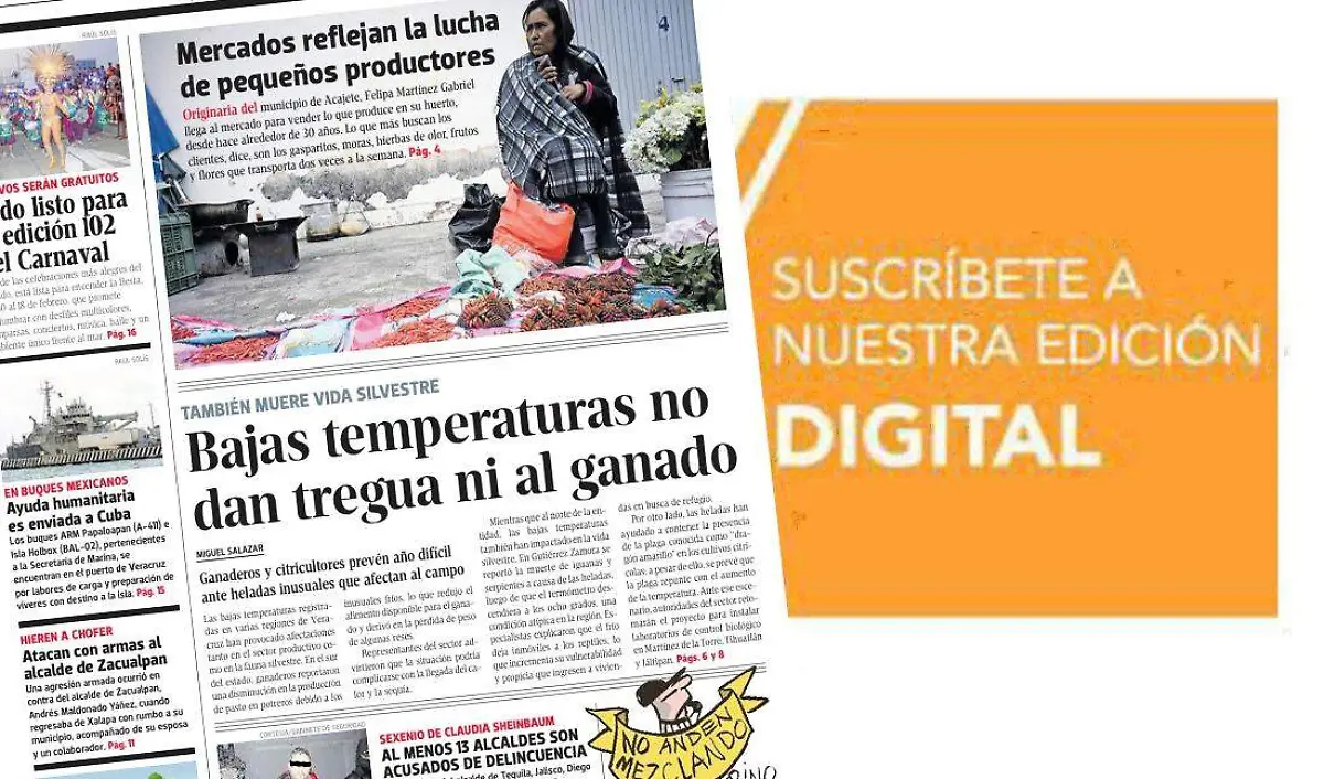 Banner 06 febrero del 2026