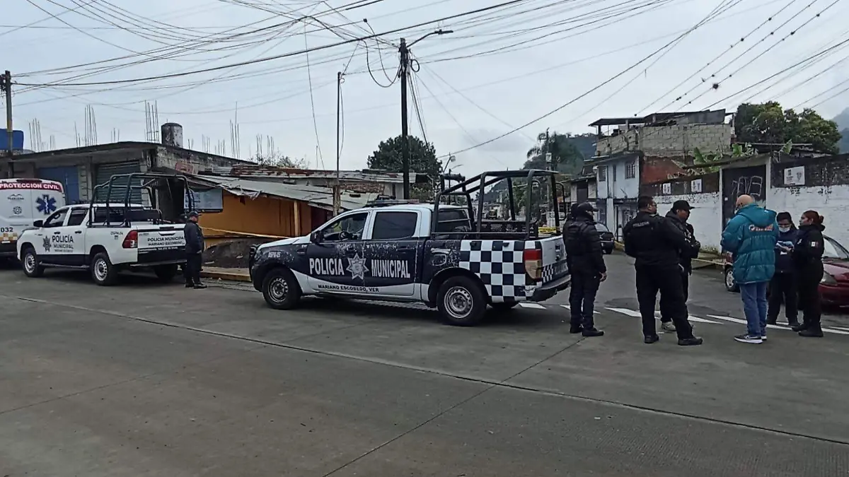 4dc45115-4813-4c42-aee0-6799f5166973