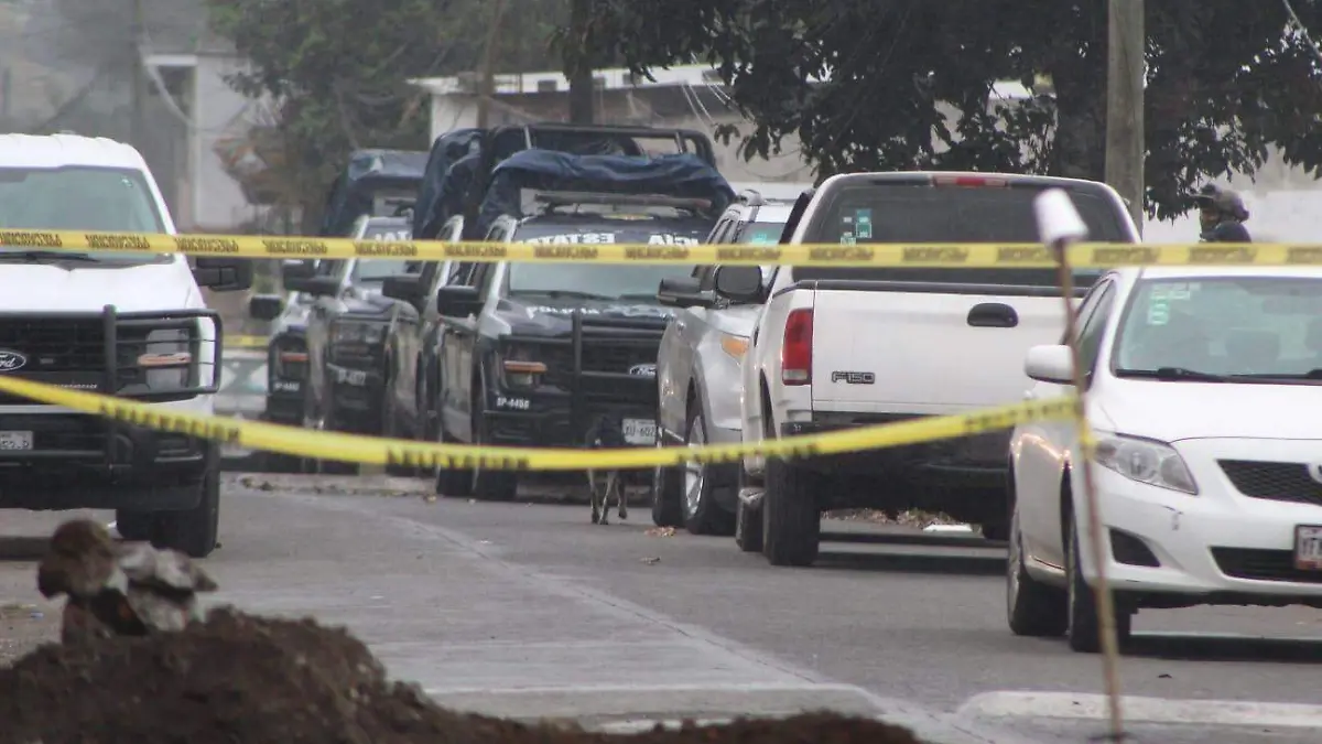 dbc89cec-6da2-4110-8bb4-1a2d7d935bab