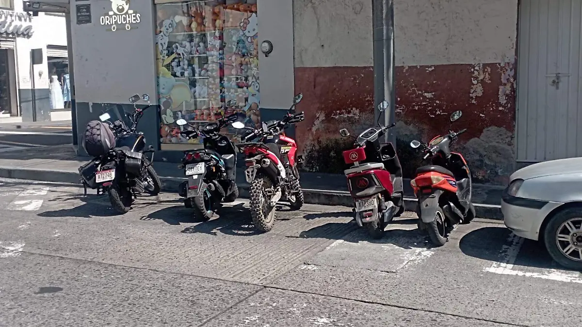 WhatsApp Image 2026-02-10 at 3.53.32 PM (1)