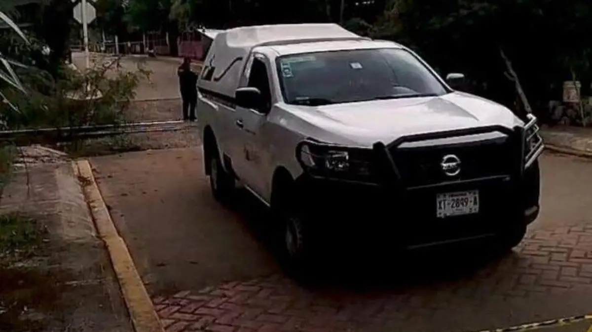 207965ea-6316-44de-b6d7-ecd741e2d4c9