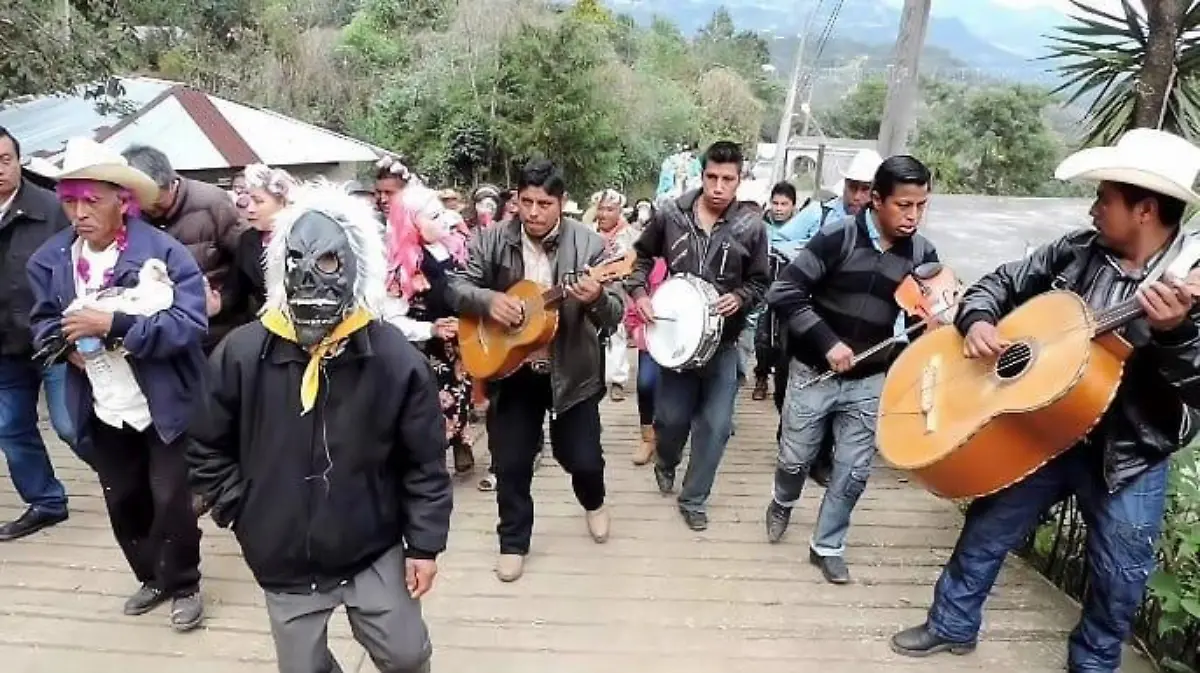 Patocotonas (Archivo OEM)